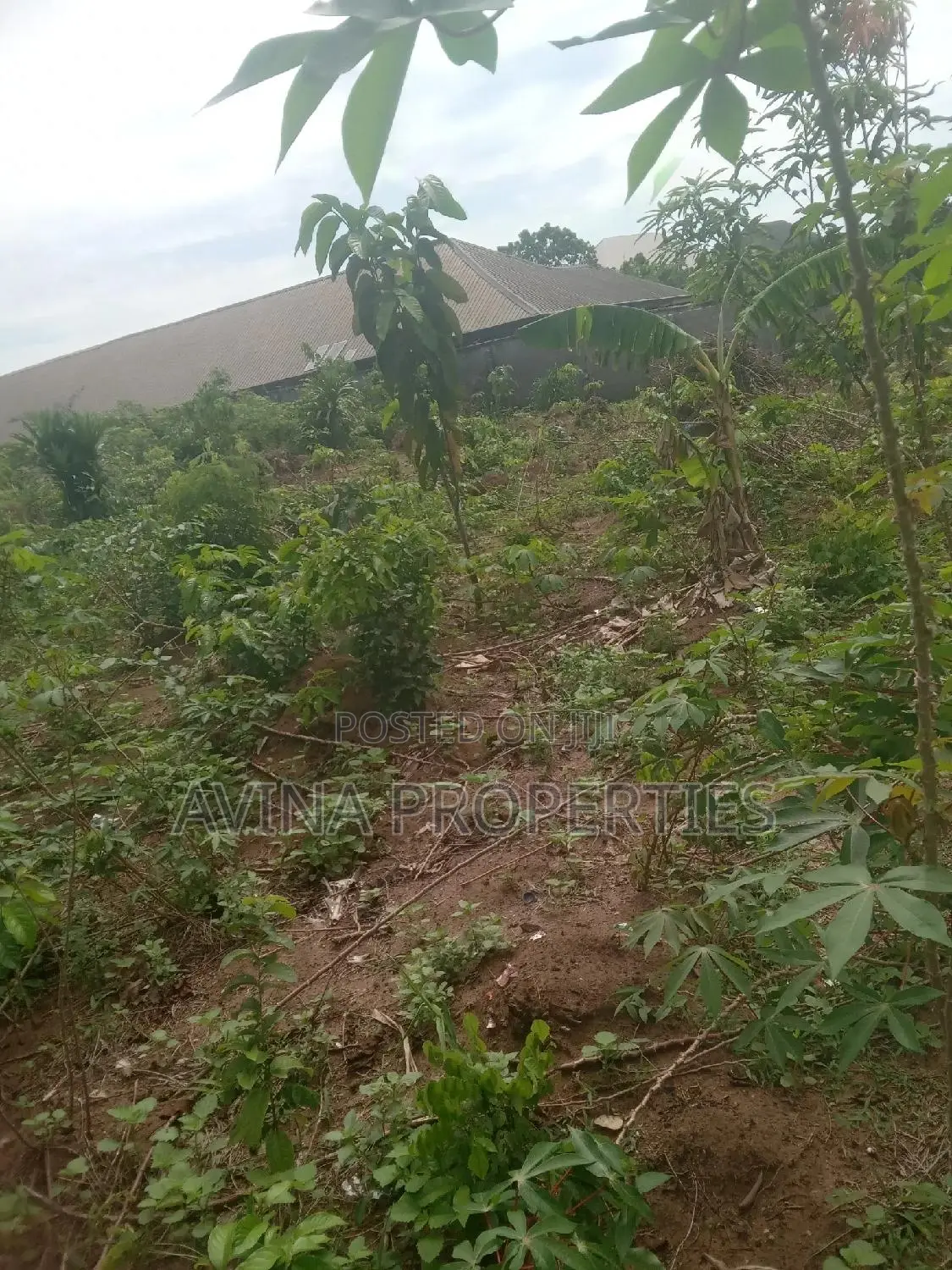 A Plot of Land for Sale in Owerri