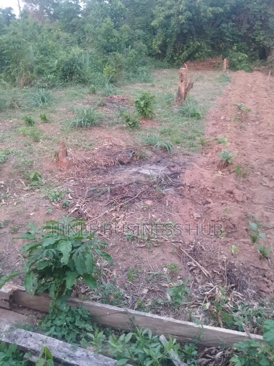3 Acres of Land for Sale in Ibadan