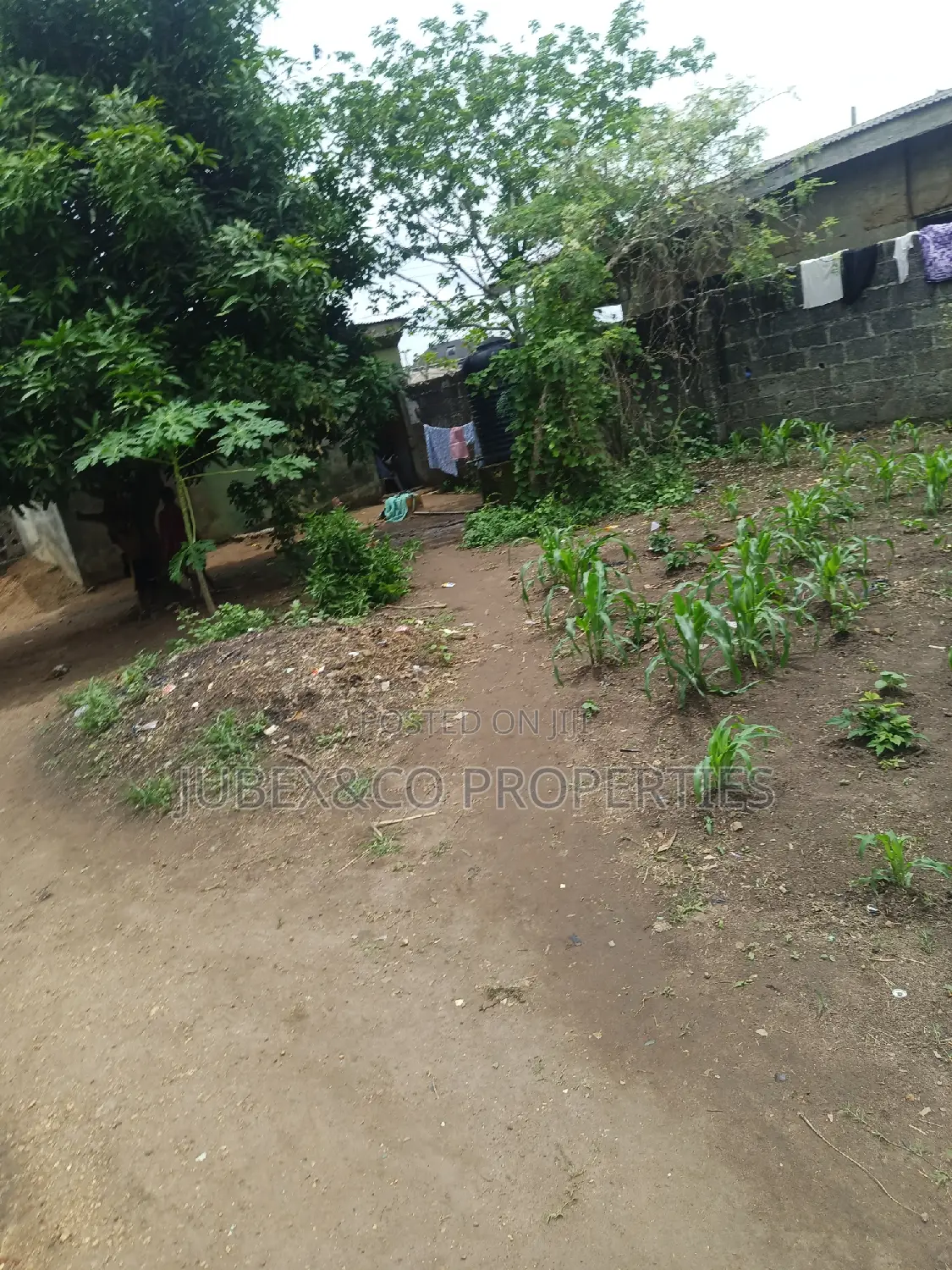 Half Plot for Sale at Iyana Iyesi in Ado-Odo/Ota