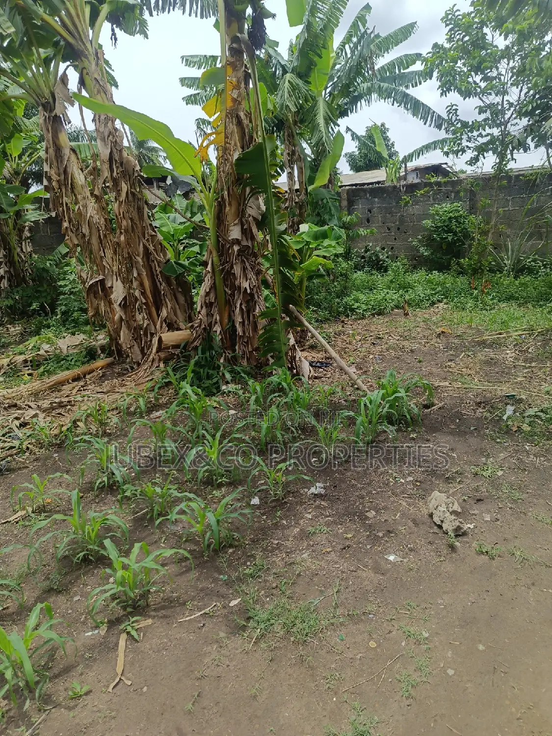 Half Plot for Sale at Iyana Iyesi in Ado-Odo/Ota
