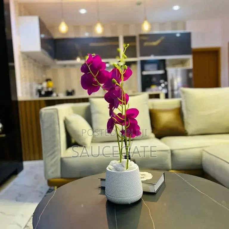 3 Bed Apartment. Shortlet Ikate, Lekki in Ikate