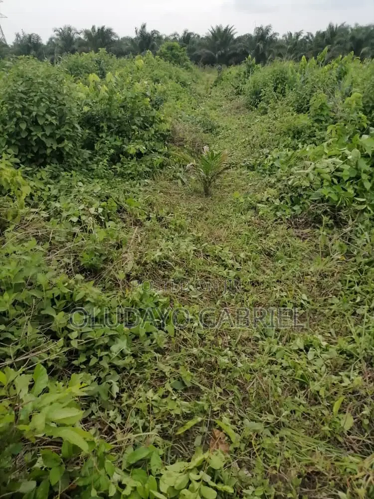Agricultural Land for Sale in Sagamu