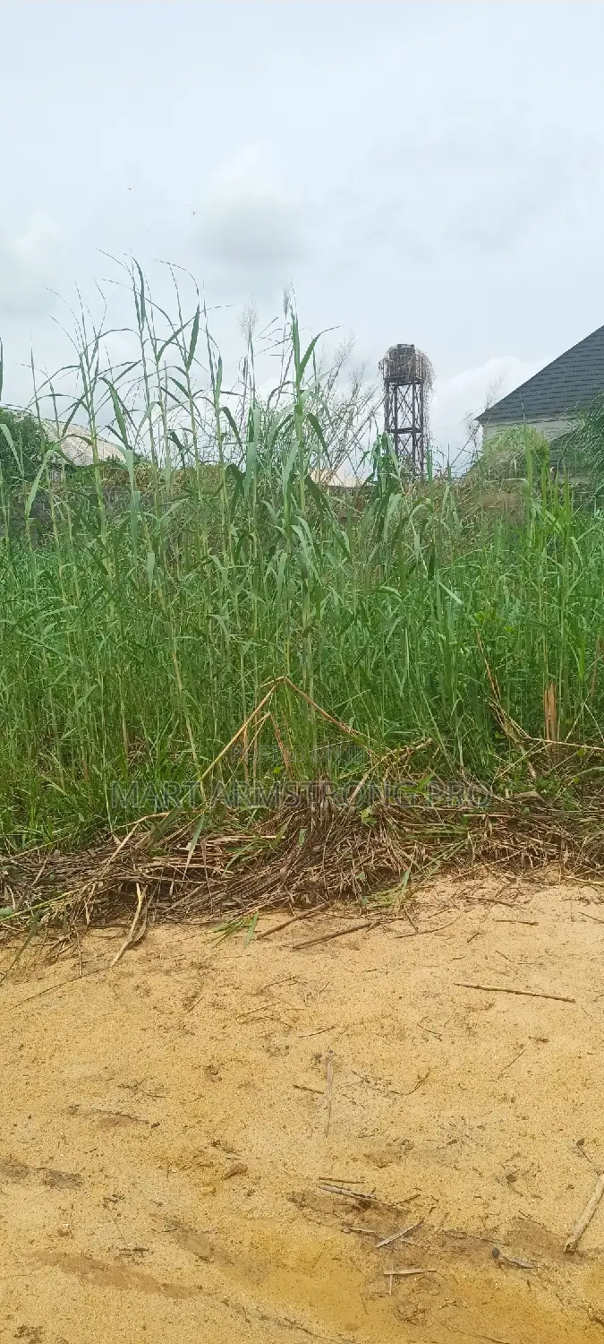 A Good Residential Plot Of Land Inside Estate in Ikorodu