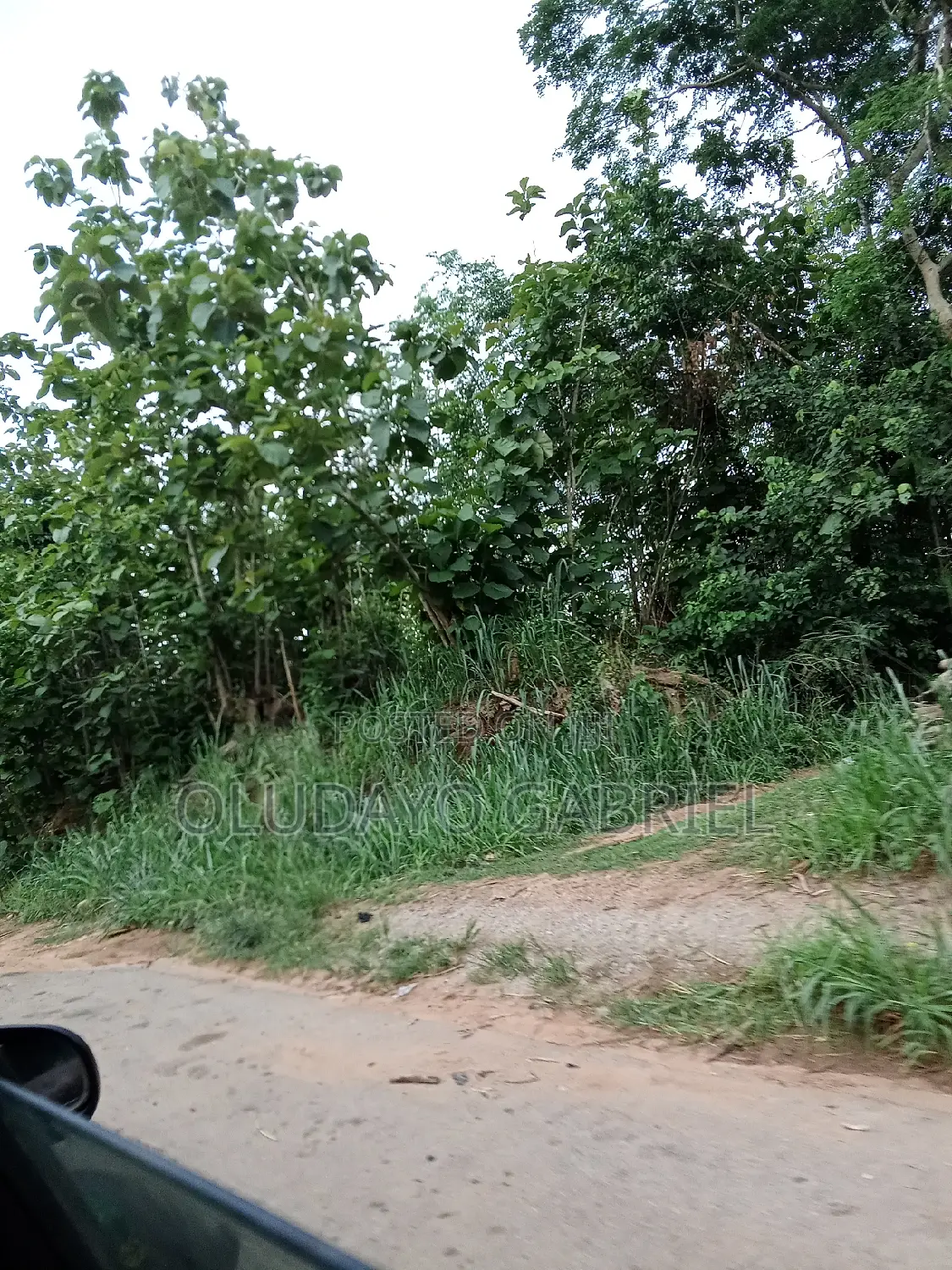 Agricultural Land for Sale in Sagamu