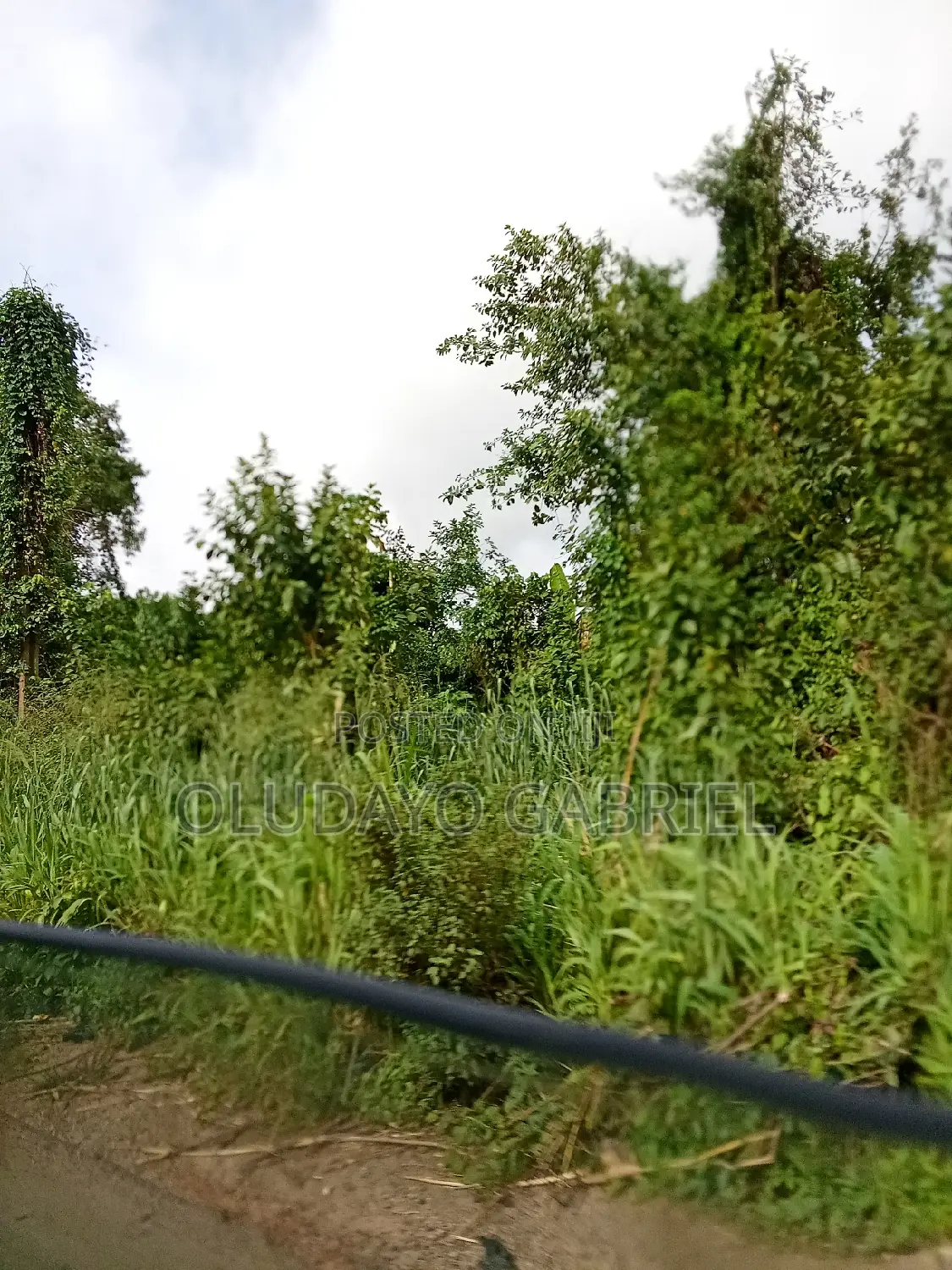 Agricultural Land for Sale in Sagamu