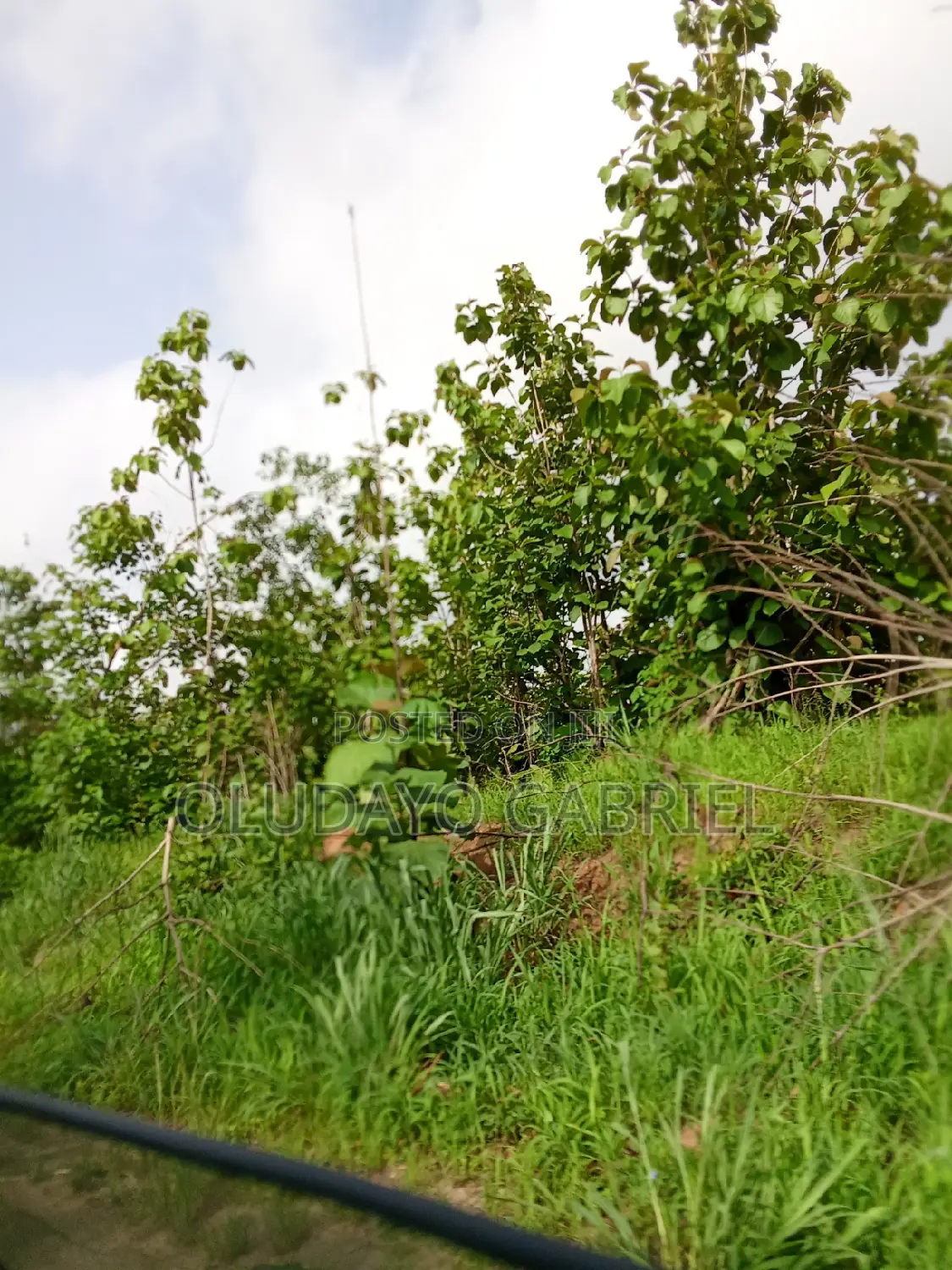 Agricultural Land for Sale in Sagamu