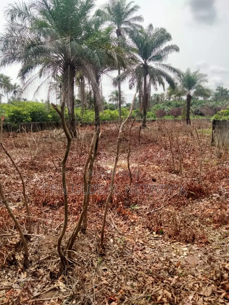 6 Plots of Land Strategically Located at Owerri Airport Road in Owerri