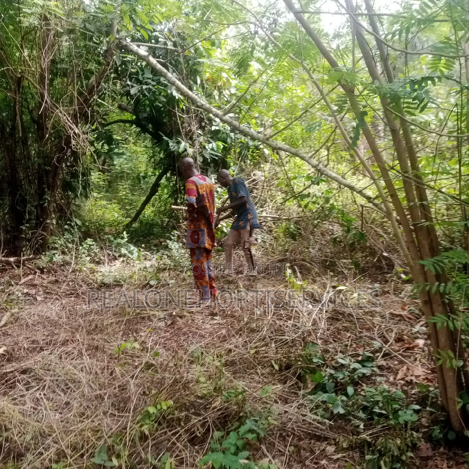 Palms County Estate Land (300sqm, 600sqm)+ Documented in Ibadan