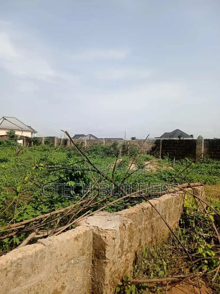 Fenced Land 100ft X 100ft at Airport Rd, Ulemon Evbuokhai in Benin City