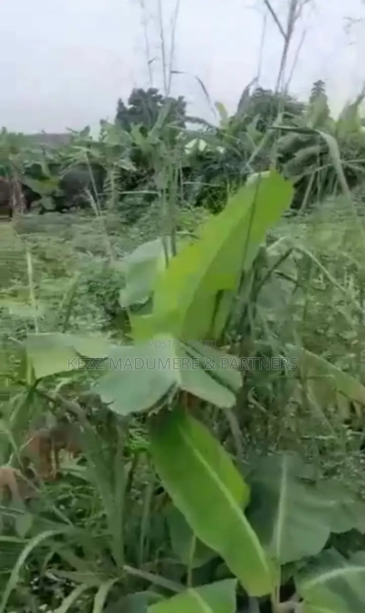 For Sale Land at Rukpakulishi , Eliozu in Port-Harcourt