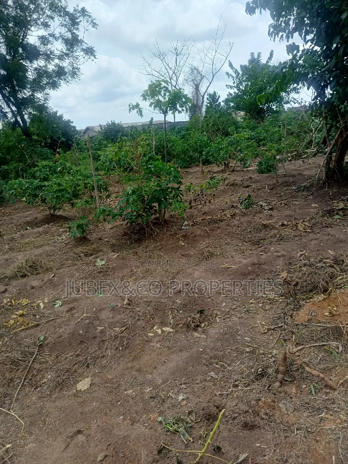 Half Plot for Sale at Aboru in Alimosho