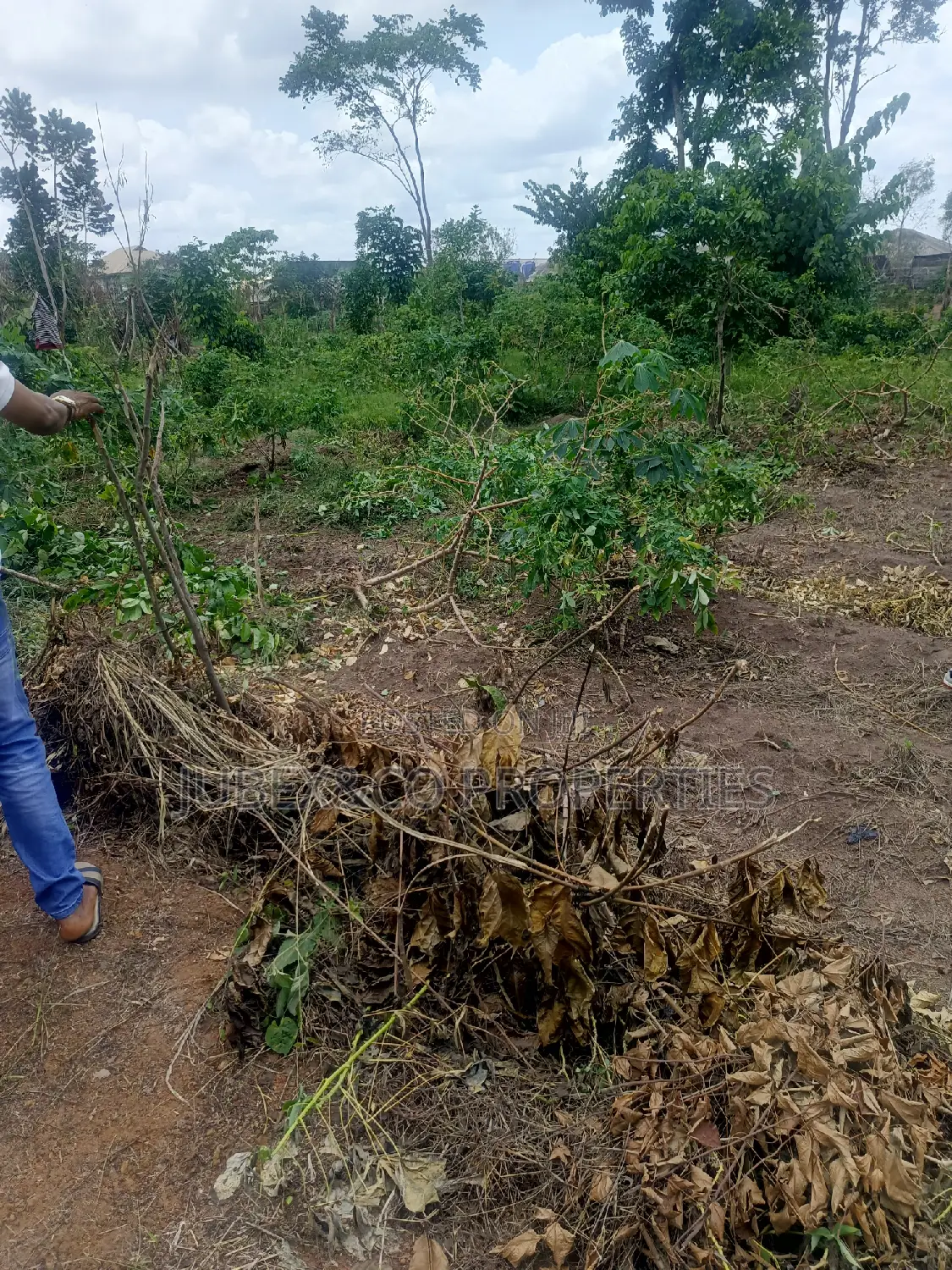 Half Plot for Sale at Aboru in Alimosho