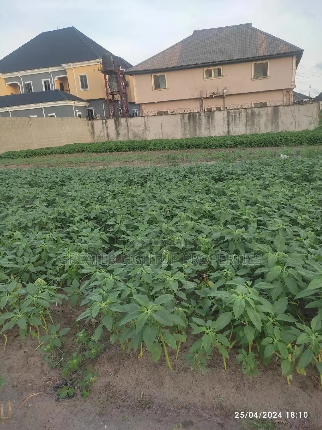 A Distress Sale of Strategized Plot of Land at Post Service in Ojo