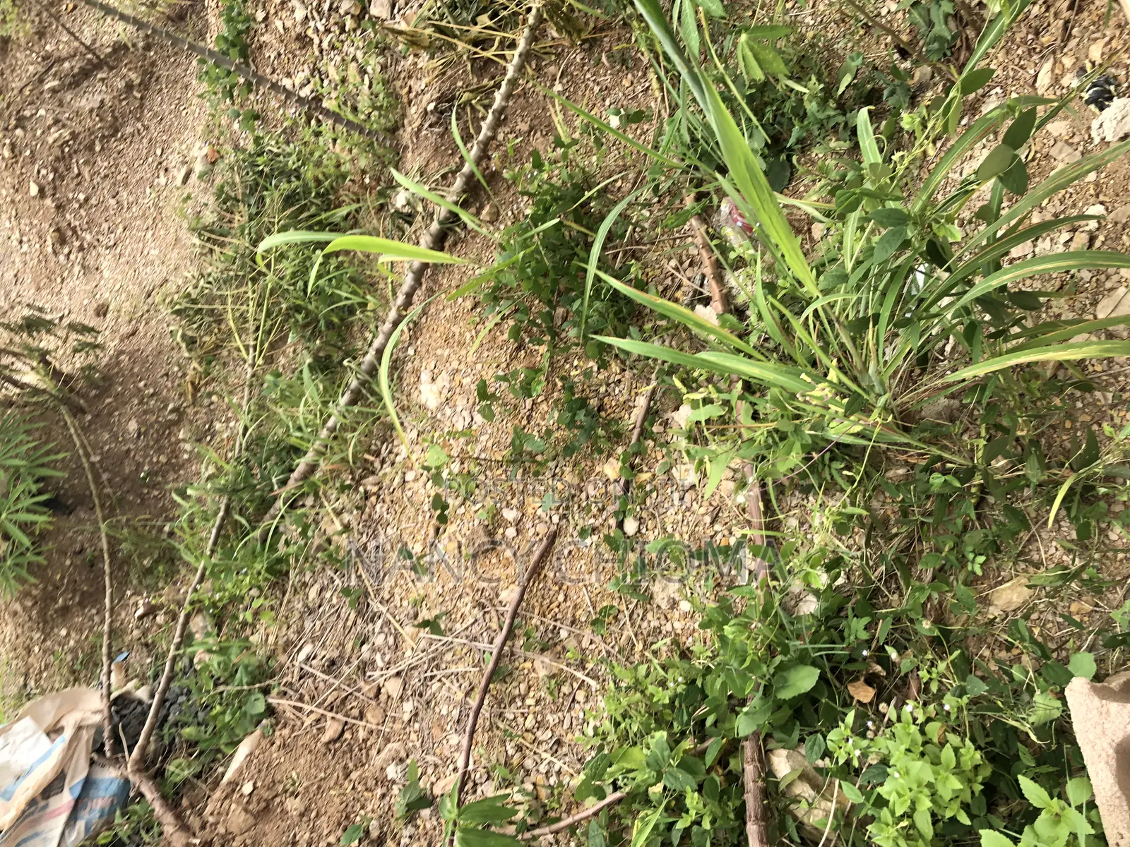 Land at Diamond in Enugu