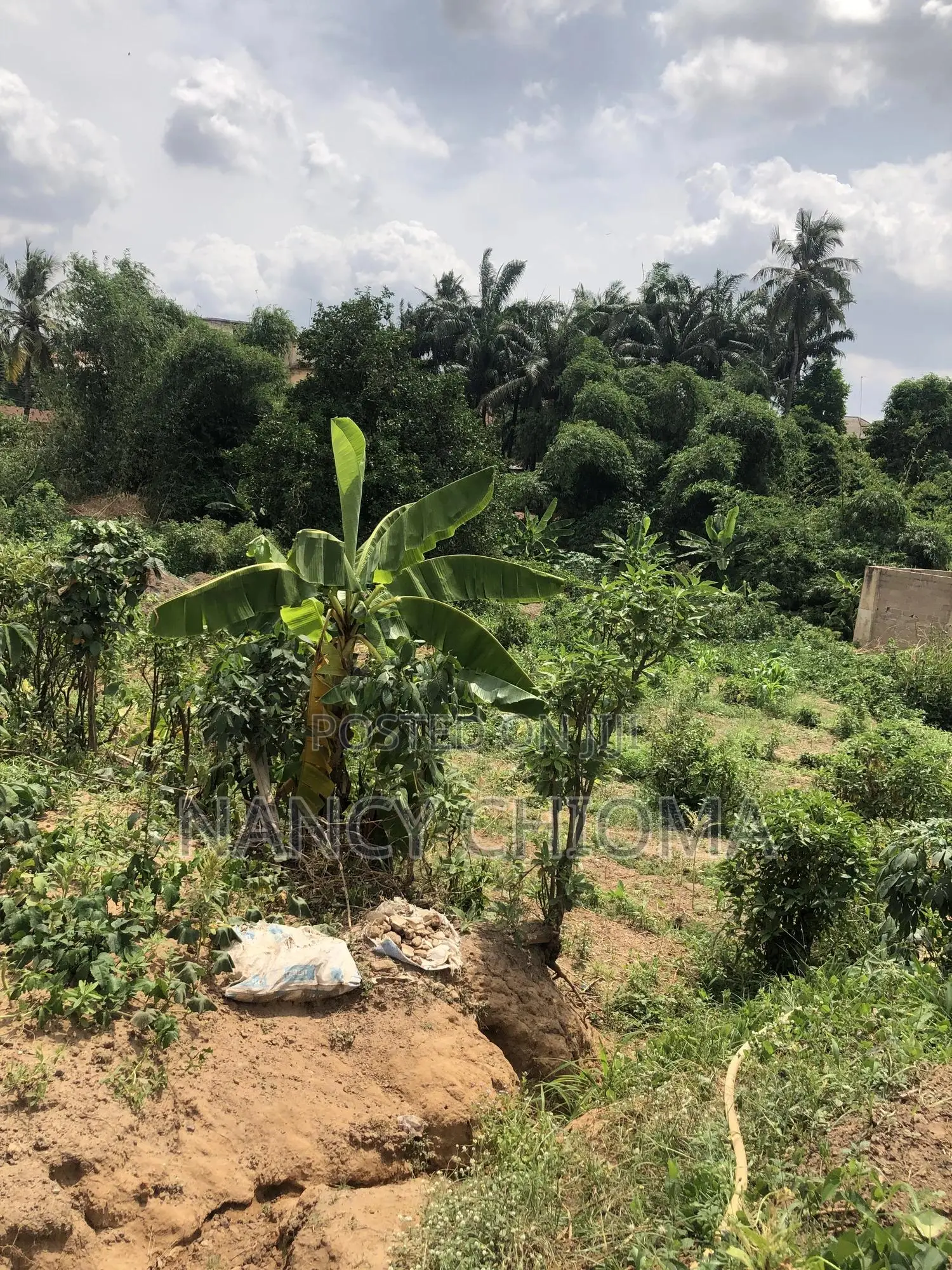 2509sqm Off Nwafor Orizu Independent Layout in Enugu