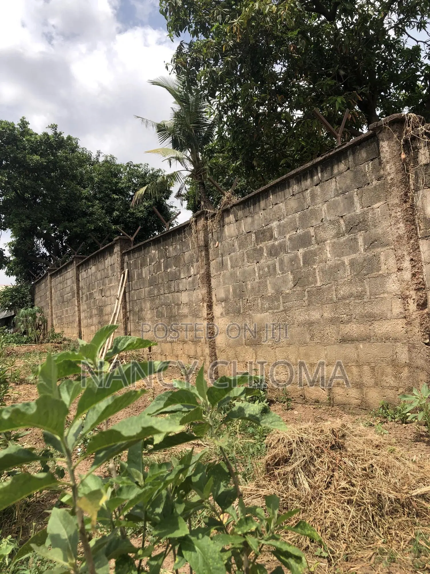 2509sqm Off Nwafor Orizu Independent Layout in Enugu