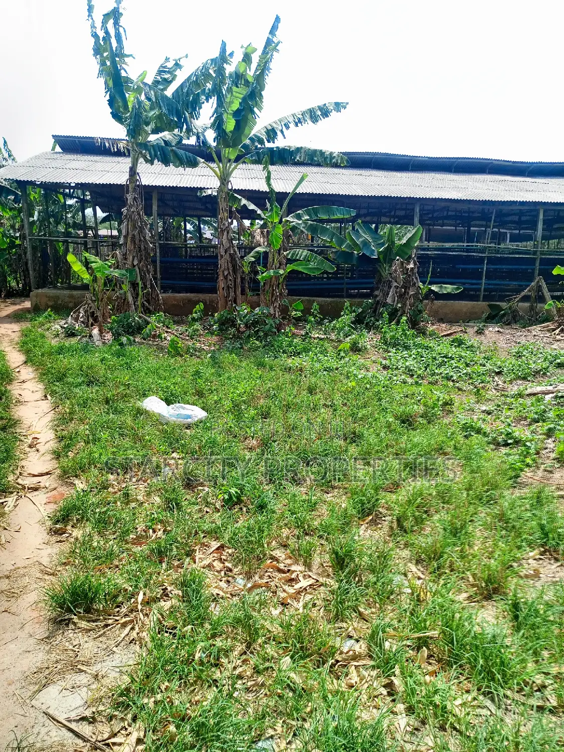 Farmlands for Sale at the Back of Tai Solarin Uni Ijebu Ode in Ijebu Ode
