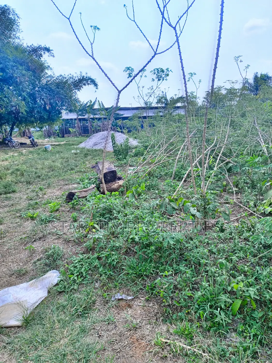 Farmlands for Sale at the Back of Tai Solarin Uni Ijebu Ode in Ijebu Ode
