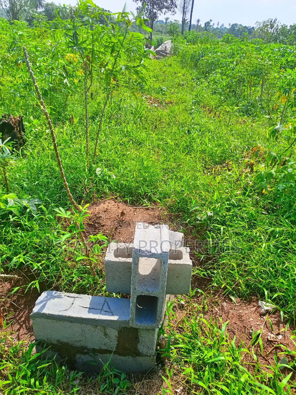 Buy and Build Land 4 Plots in Imota Ikd Close to Caleb Uni in Ikorodu