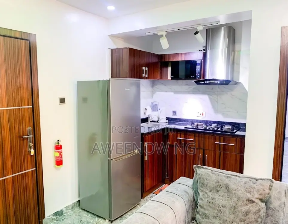 One Bedroom Luxury Apartment in GRA Phase 2 Shangisha