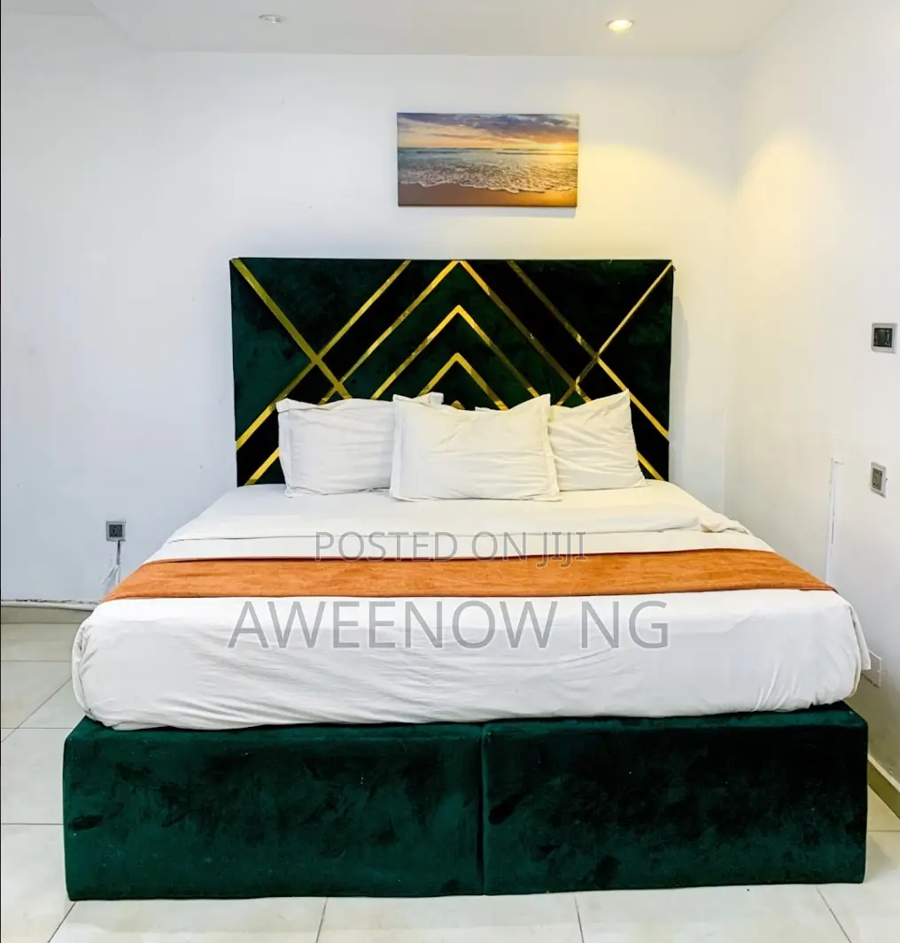 Luxurious One Bedroom Flat in GRA Phase 2 Shangisha