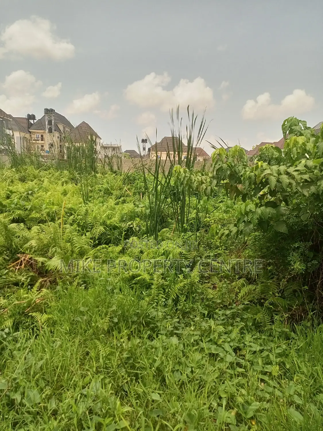 Two Plots of Land for Sale in Ago Okota in Ago Palace