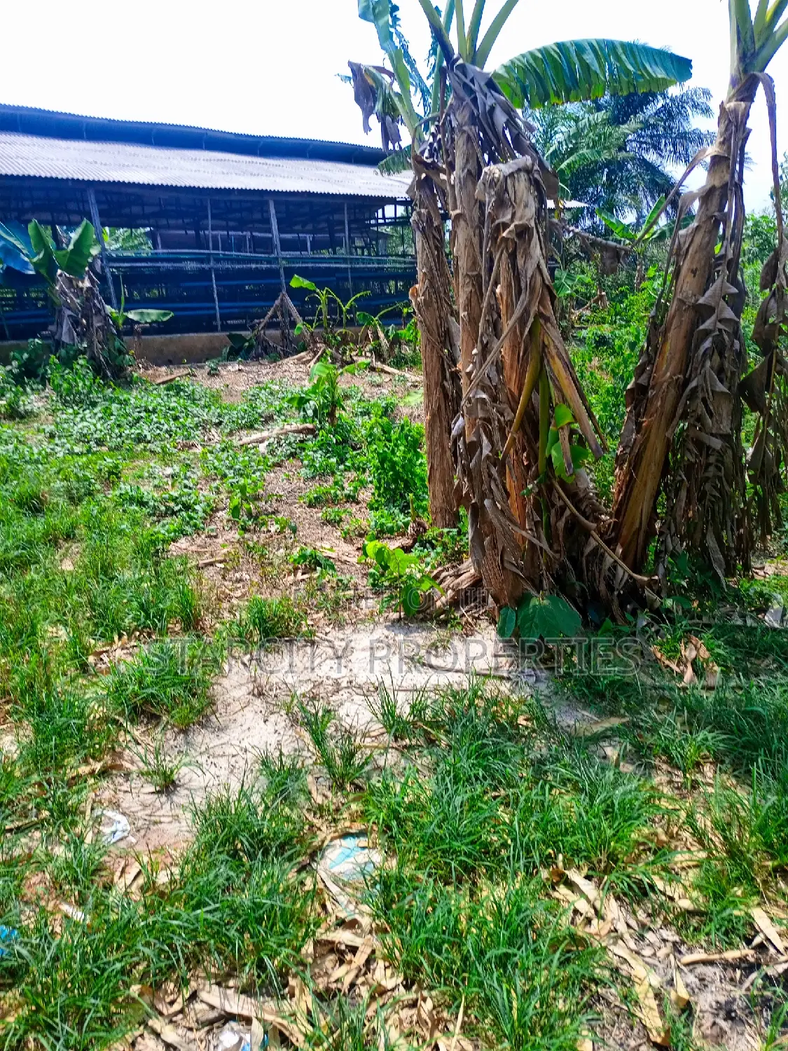 Farmland for Sale in Owode via Interchange by Isiun Junction in Obafemi-Owode