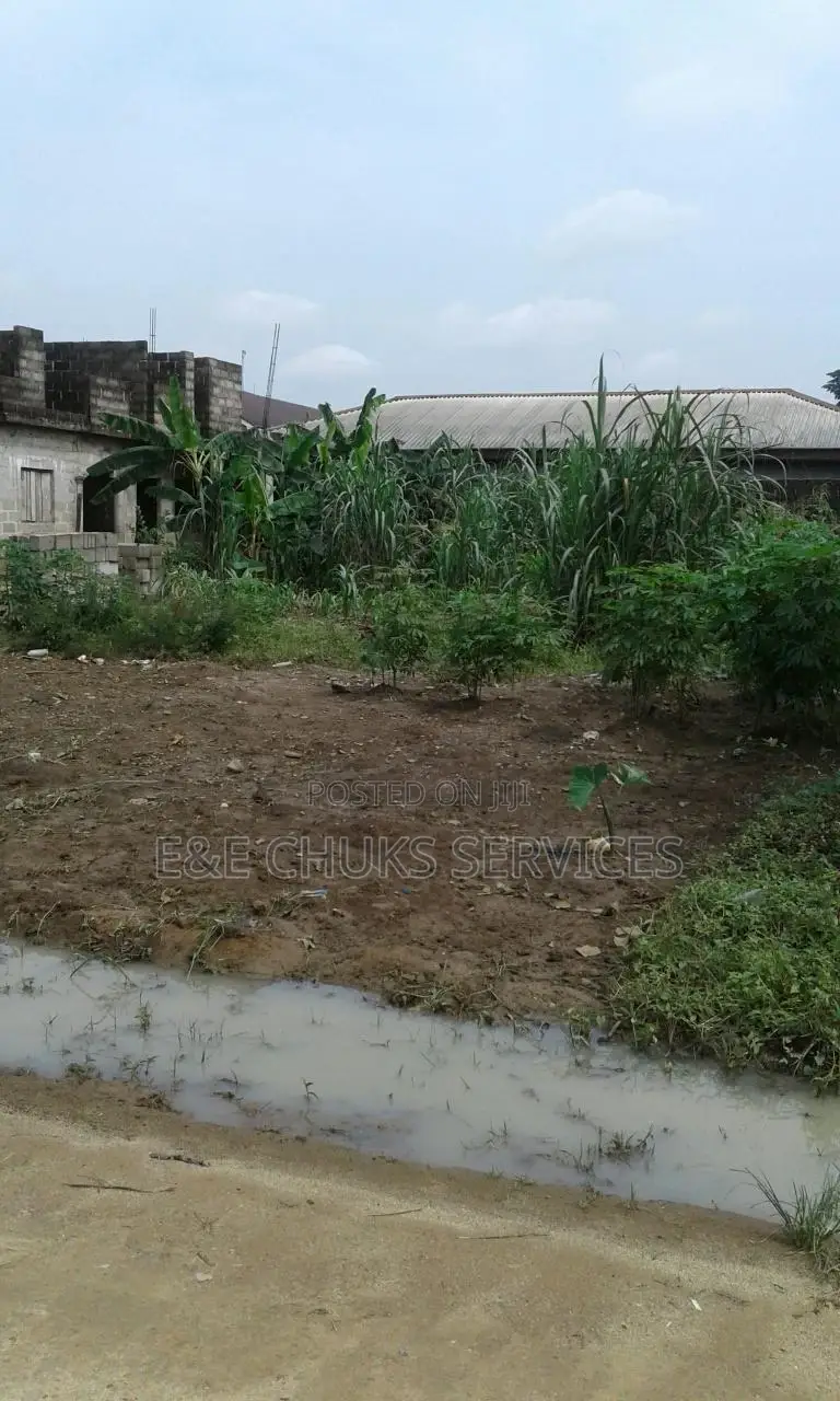 Two Plots of Land at Atali Farm Estate, Off Tank Junction in Obio-Akpor
