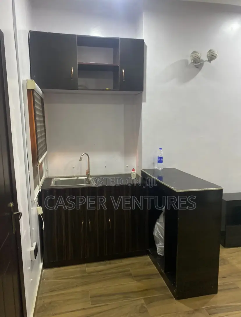 Studio Apartment in Victory Park, Osapa london for rent in Osapa london