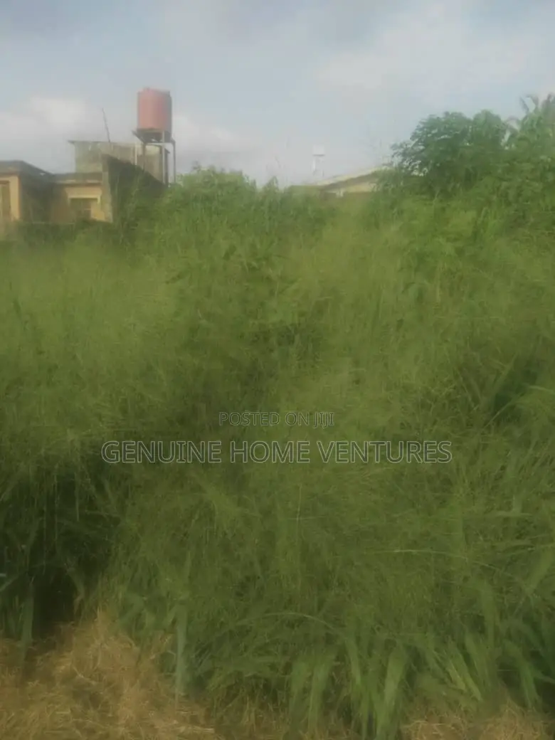 Full Plot in Okeoriya Beside Agric Ikorodu in Ikorodu
