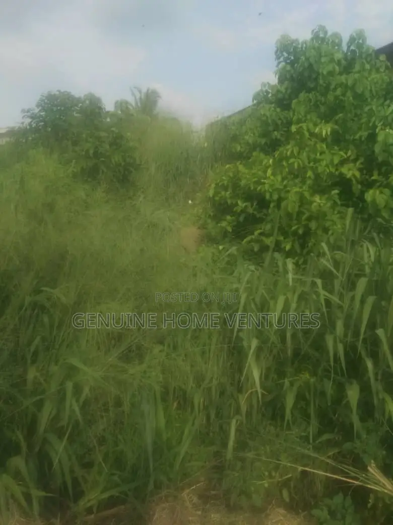 Full Plot in Okeoriya Beside Agric Ikorodu in Ikorodu