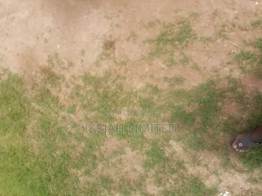 Affordable 1 Plot of Land for Sale in Agbowa, Ikorodu in Agbowa