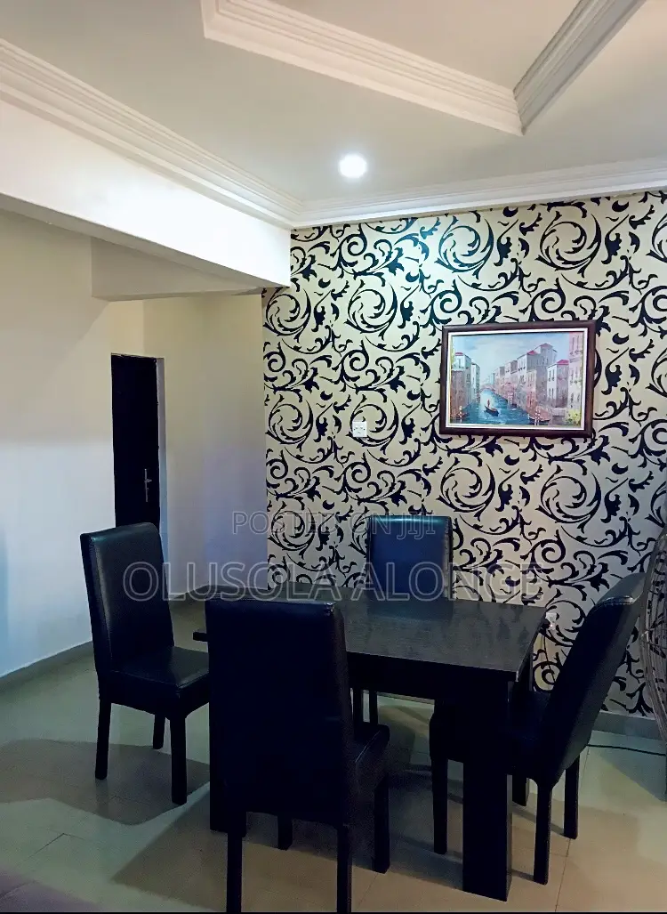 Homely Private Room Cheapest in Abuja + Starlink Internet in FHA