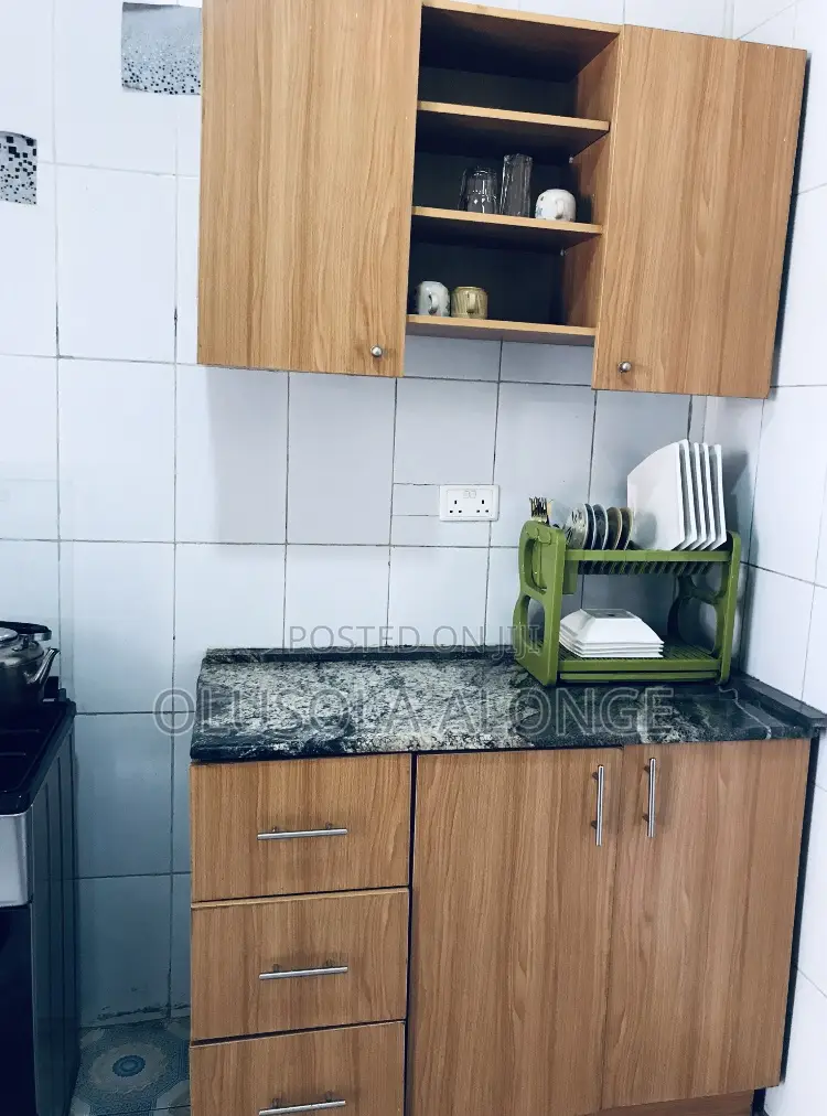 Executively Furnished 2bedroom Apartment+ Starlink Internet in FHA