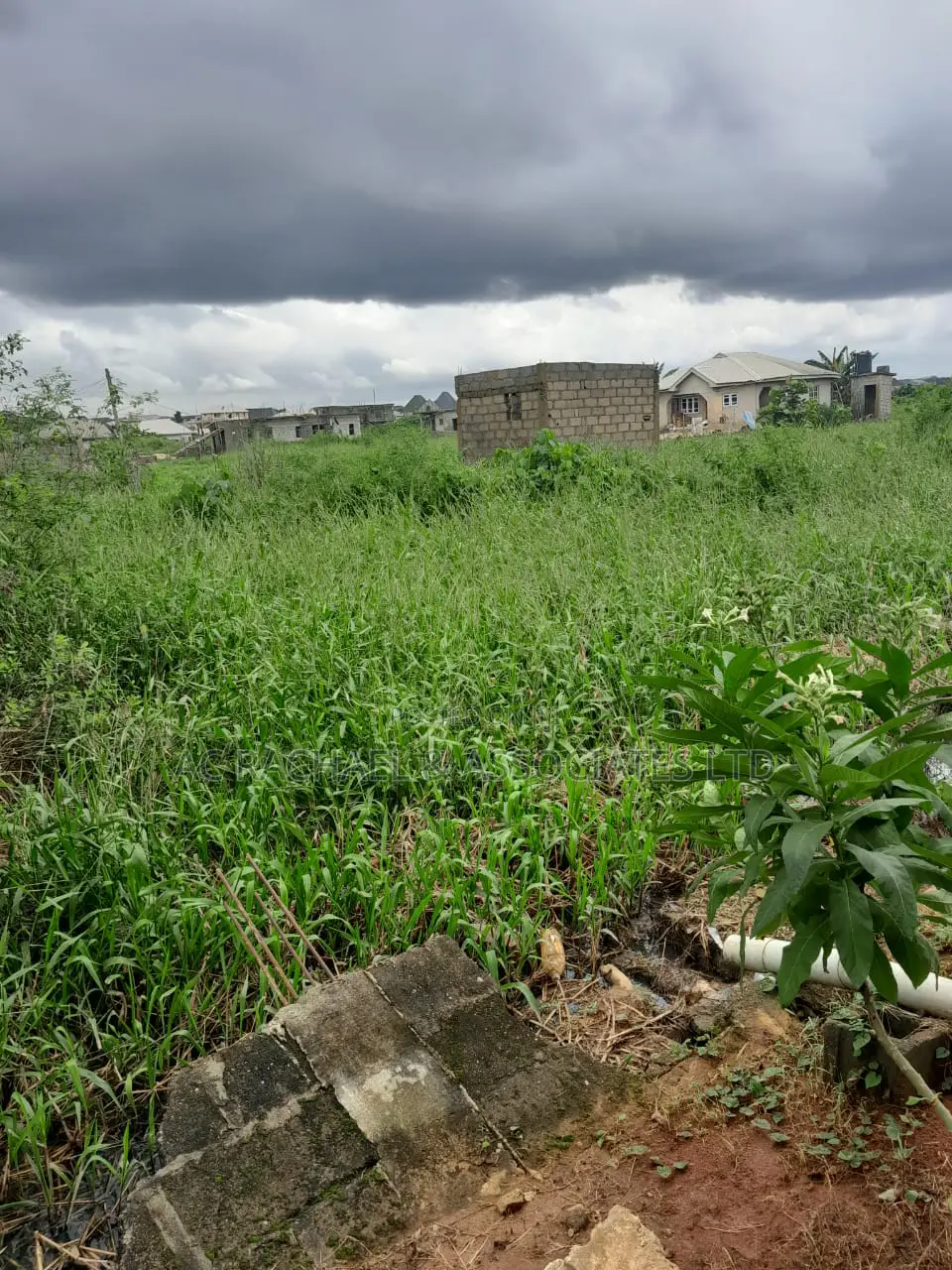 Half Plot of Land for Sale in Hope Estate Ago Palace in Ago Palace