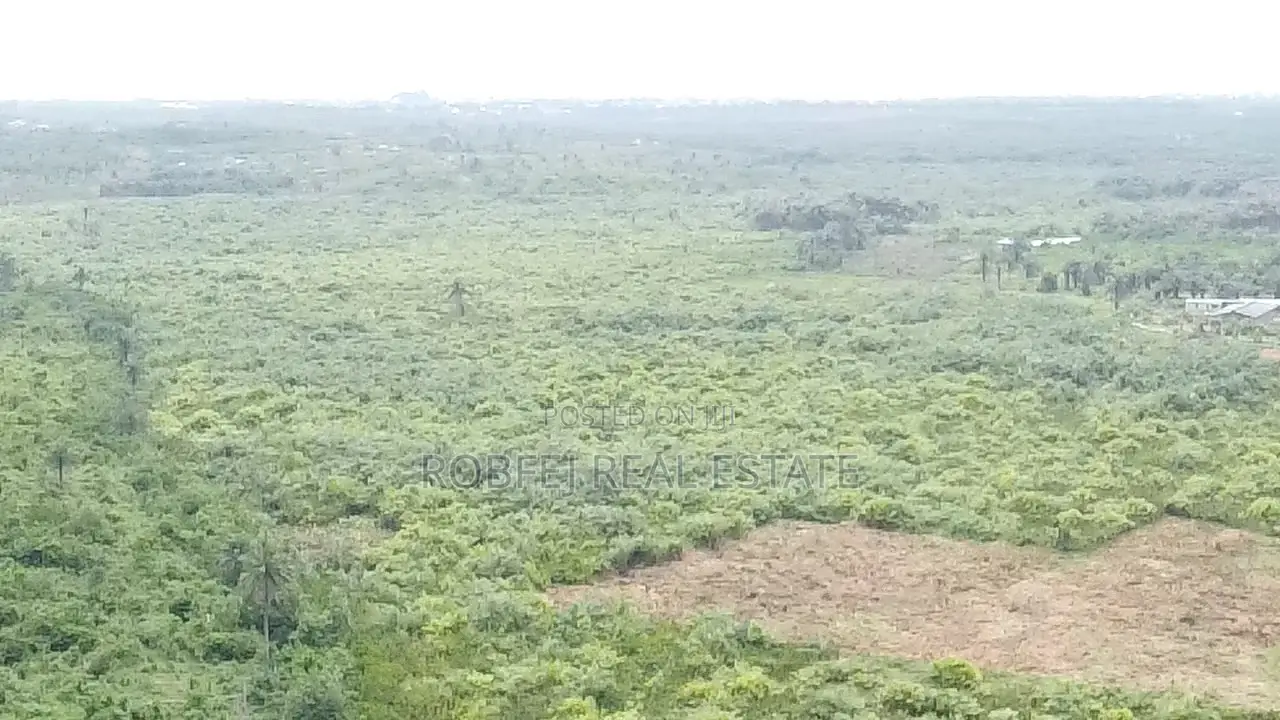 100 Acres at Odo Egiri Awaits You in Epe
