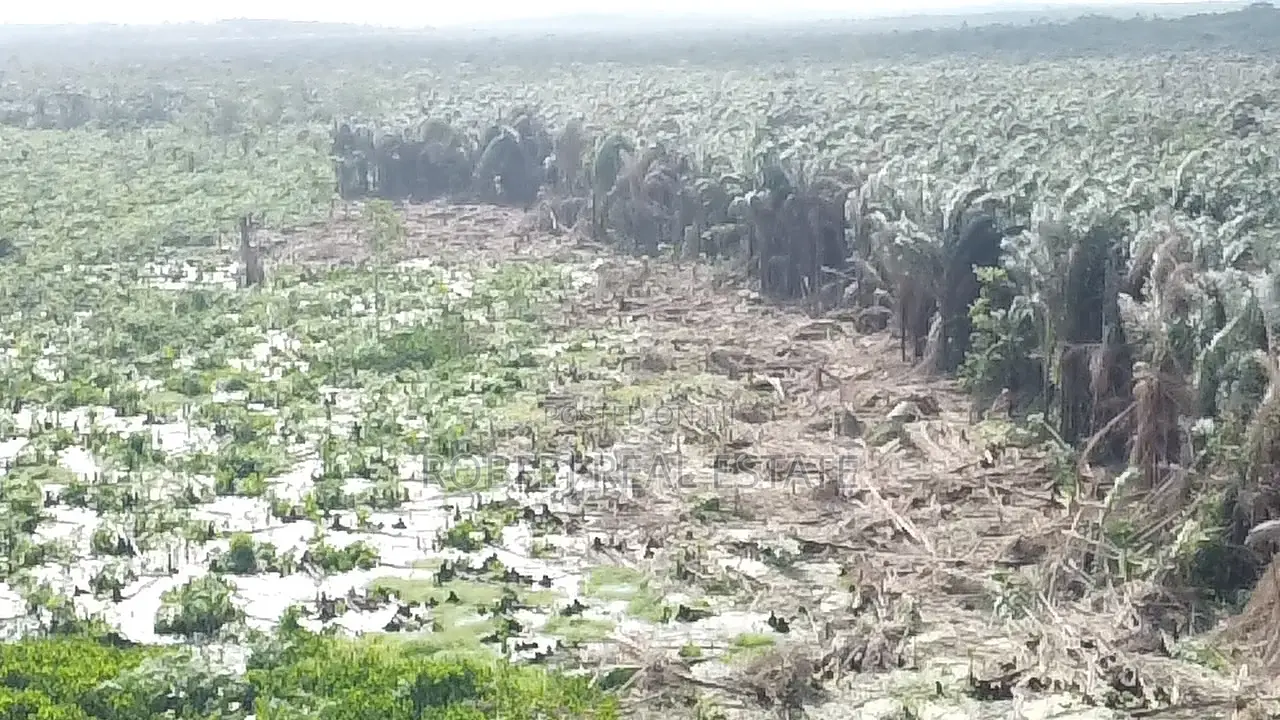 50 Acres Land Awaits in Epe