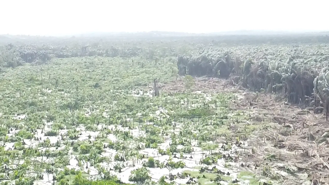 50 Acres Land Awaits in Epe