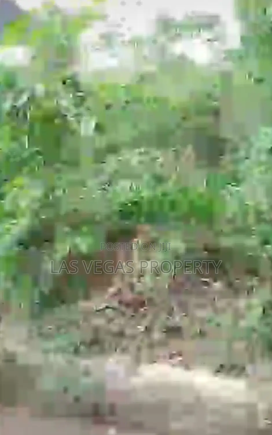 Sharp 1 Plot of Land in a Highly Built-Up Area in Owerri