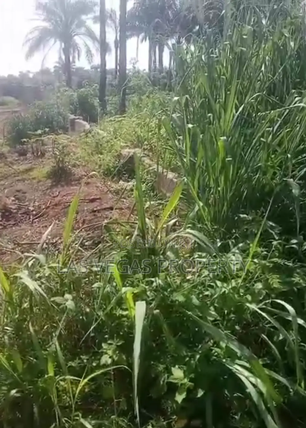 One Plot of Land, With Dwarf Fence for Sale at Ubomiri in Owerri