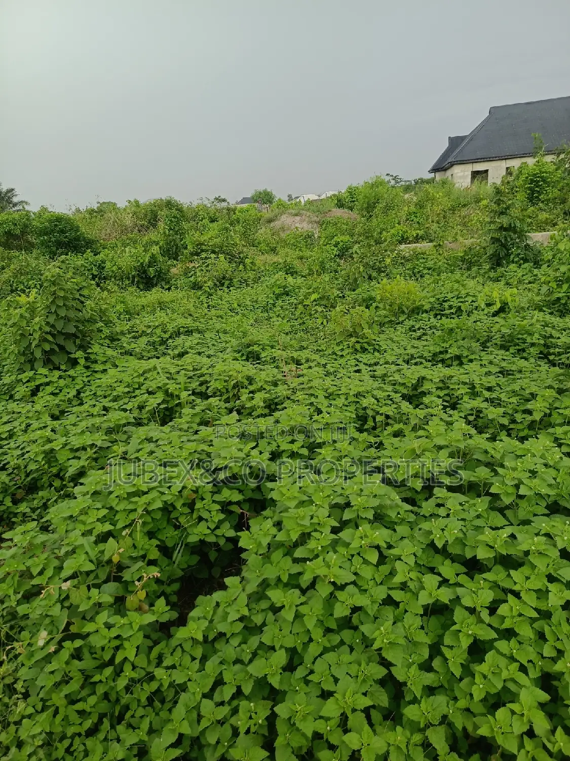 Quarter Plot at Ajasa Command for Sale in Alimosho