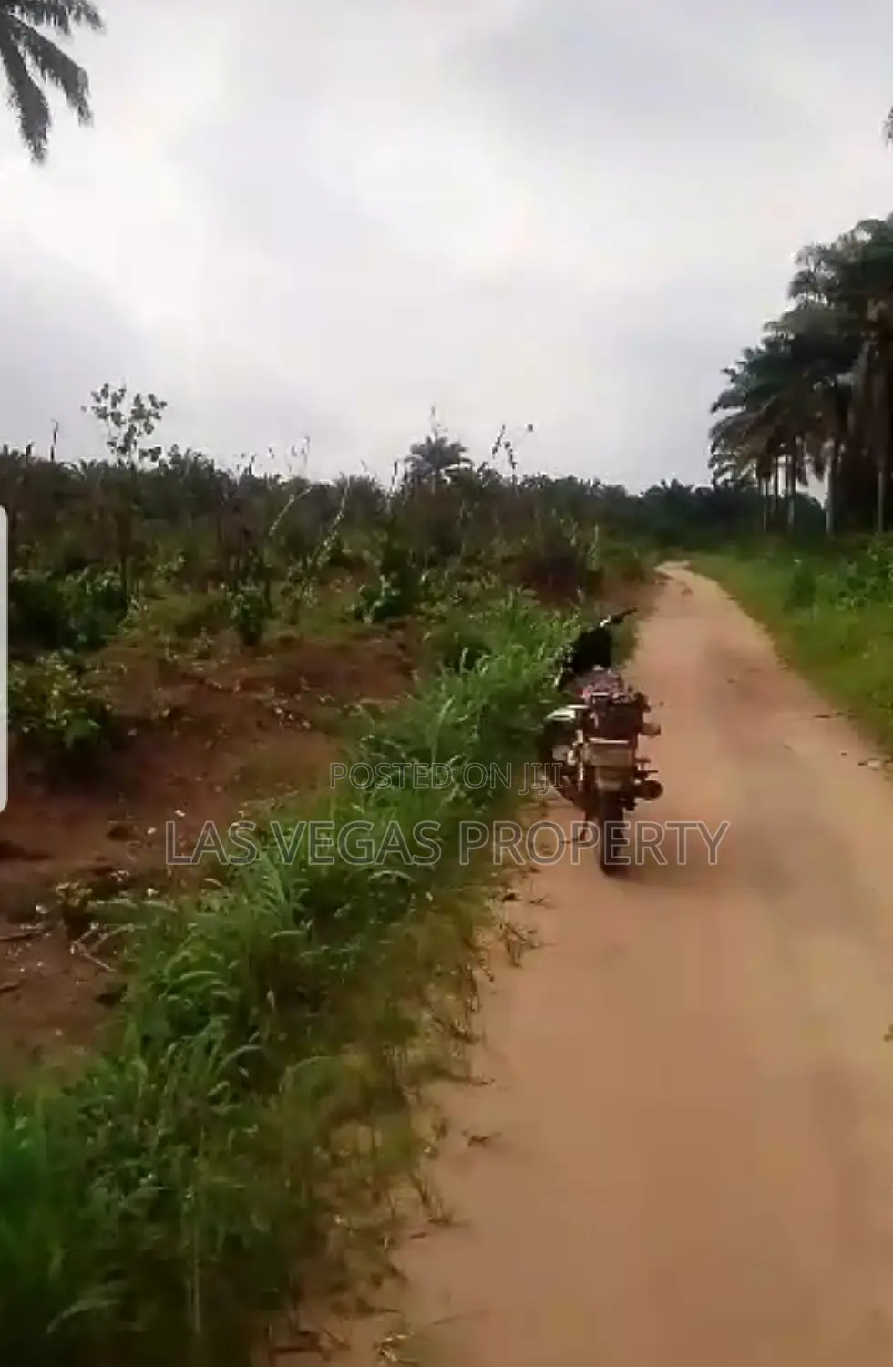 30 Plots of Land for Sale at Umuokanne Obinze Owerri Imo St. in Owerri