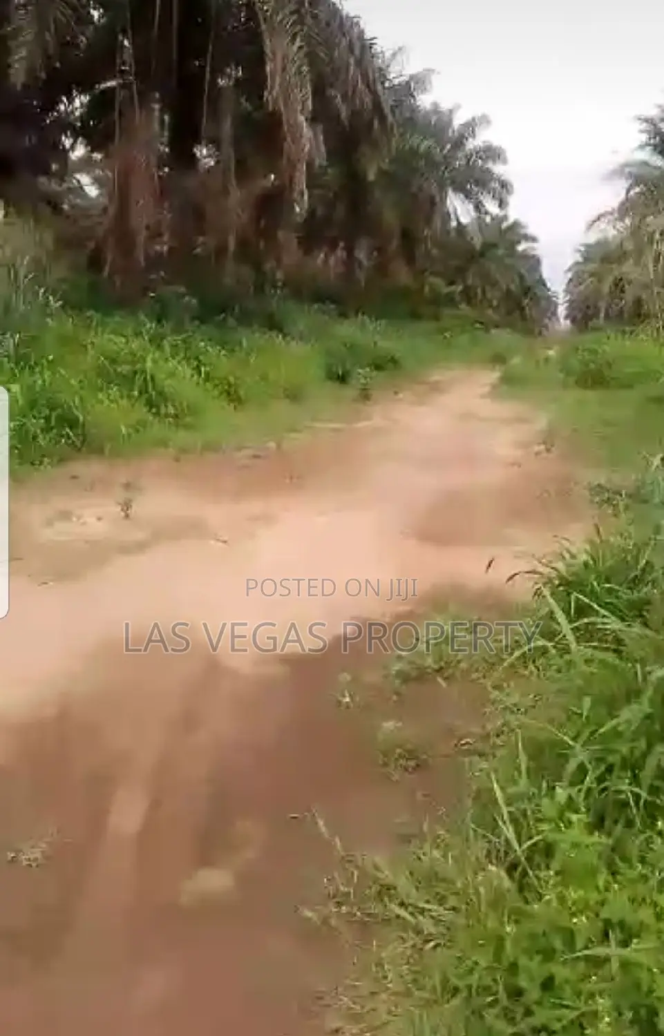 30 Plots of Land for Sale at Umuokanne Obinze Owerri Imo St. in Owerri