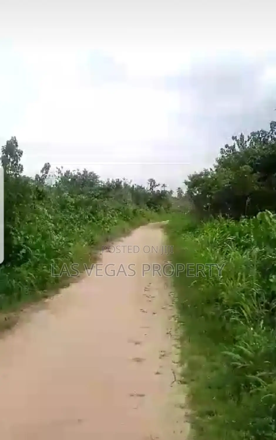 30 Plots of Land for Sale at Umuokanne Obinze Owerri Imo St. in Owerri