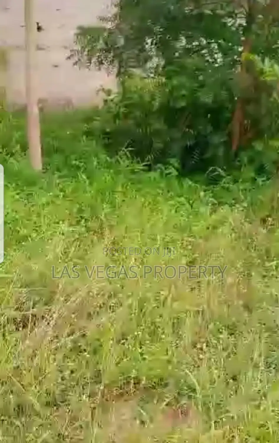3 Plots of Land at MCC Rd Beside Ukoromi Fuel Station Owerri in Owerri