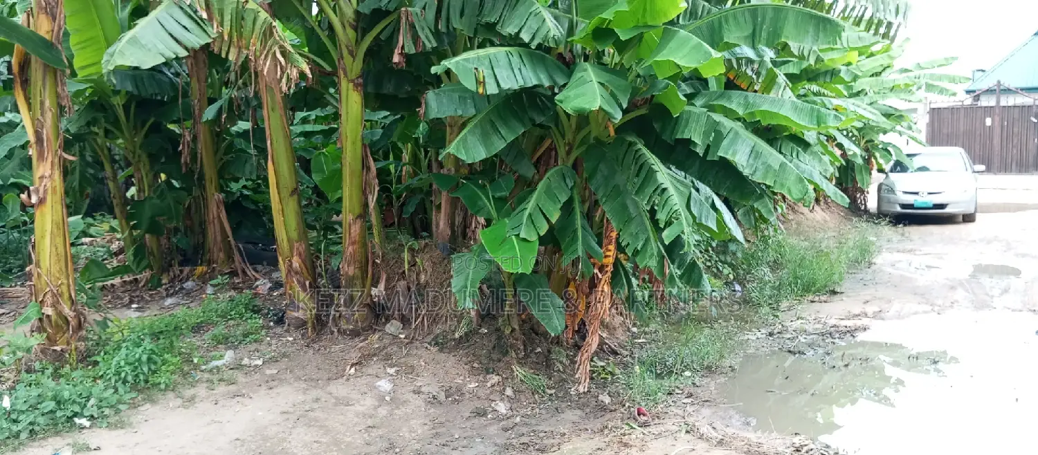 For Sale : One Plot of Land Off Sars Rd in Port-Harcourt