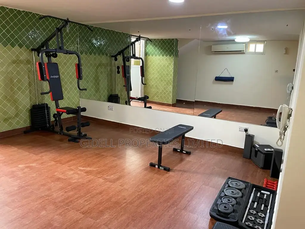 Furnished 3bdrm Apartment in Maitama for rent in Maitama