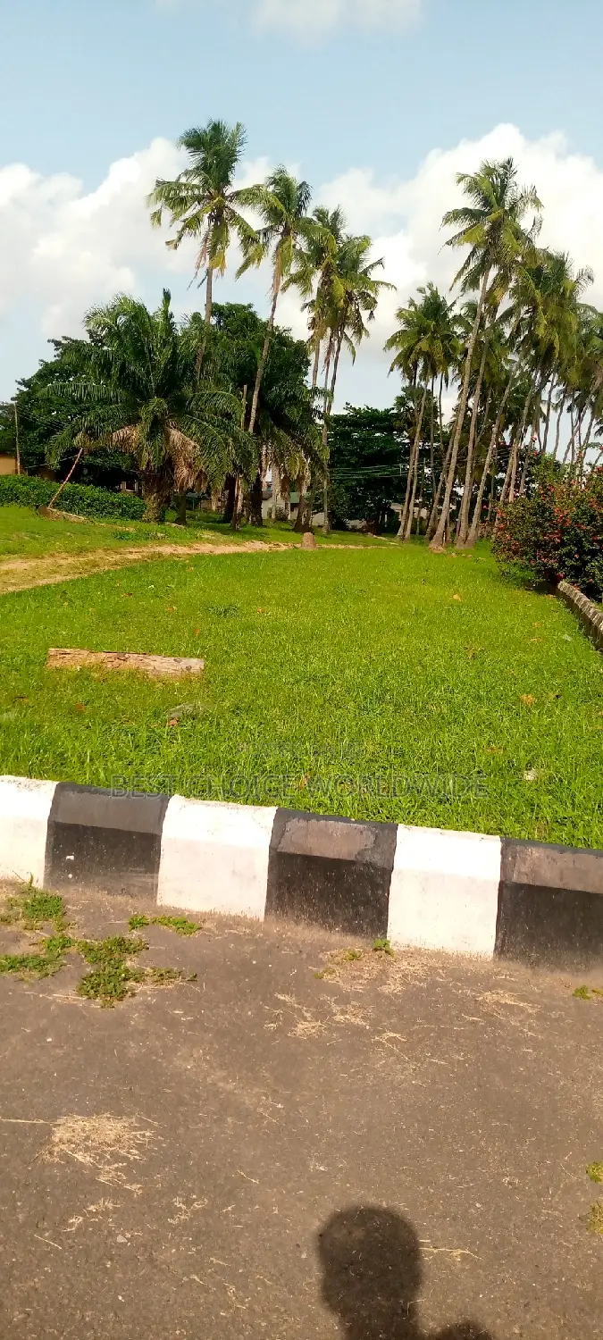 Office Space With Large Green Compound in Ibadan
