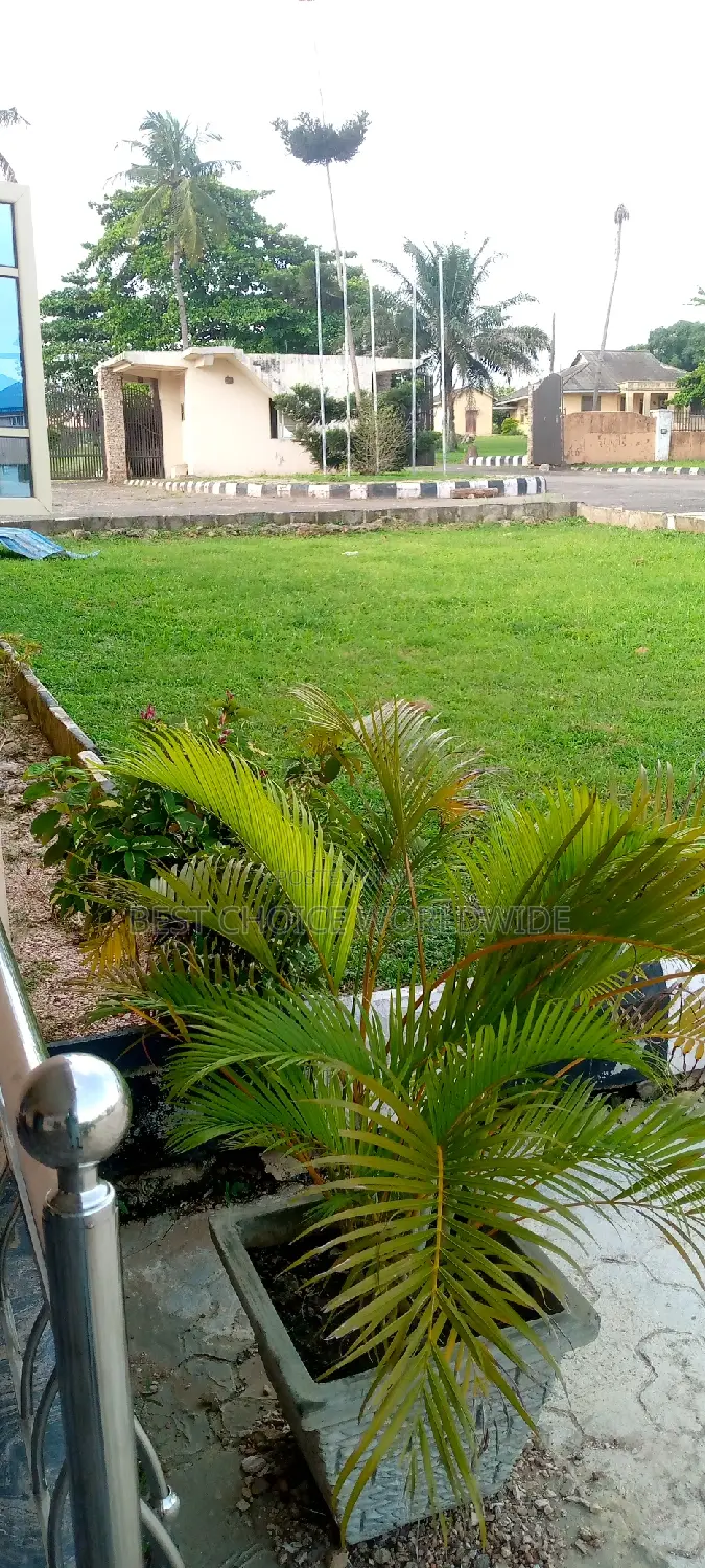 Office Space With Large Green Compound in Ibadan