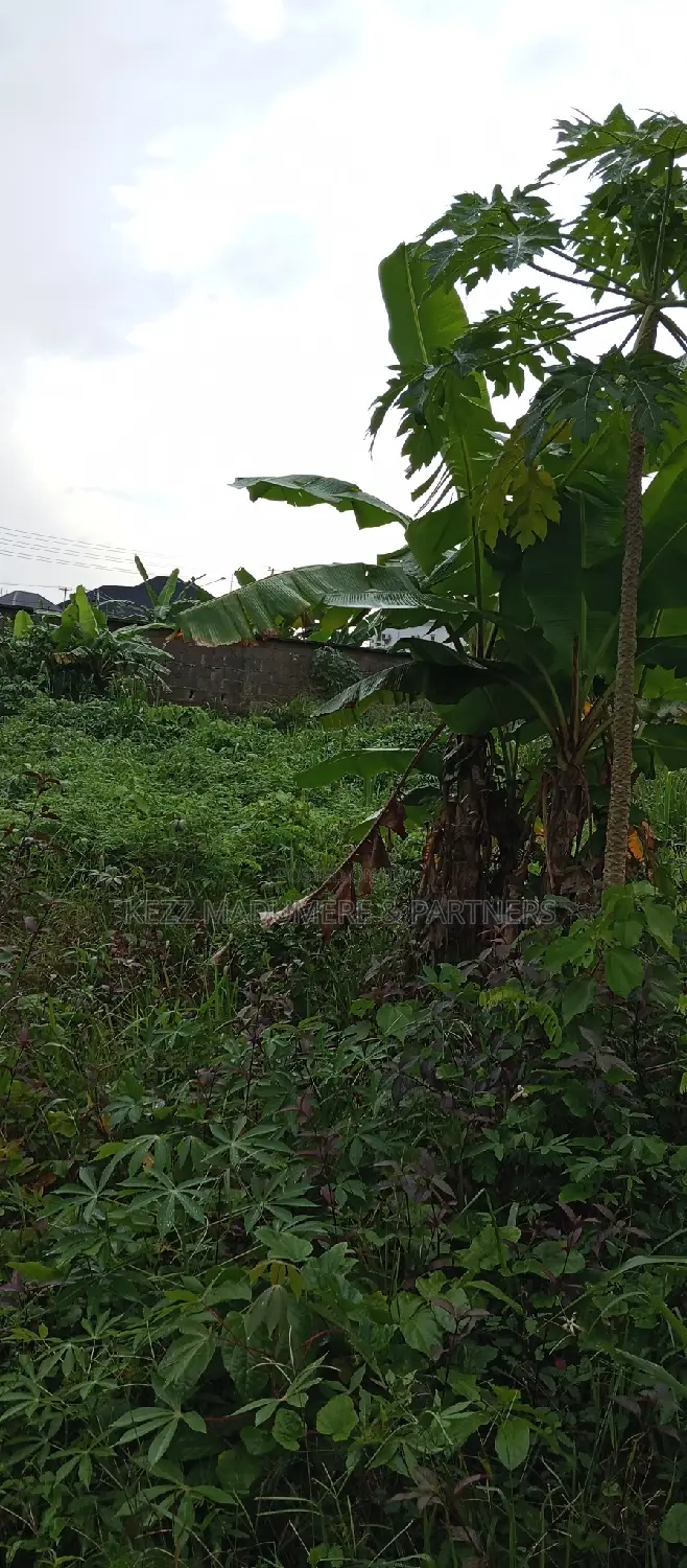 For Sale : 1 Plot of Land at Cedarwood Estate, Sars Rd , Ph in Port-Harcourt